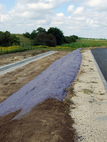 zatrávnenie dialničného svahu s grasstexom