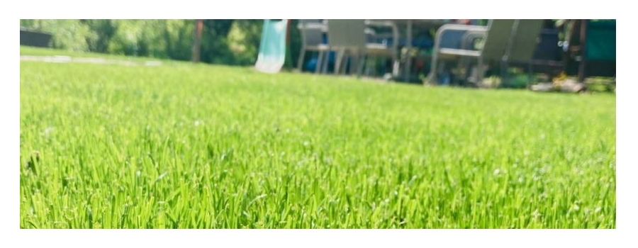 trávnikový koberec grasstex u zákazníka