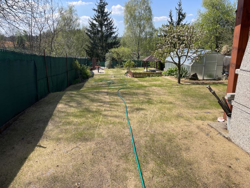 3. krok, 2 týždne po pokládke grasstexu