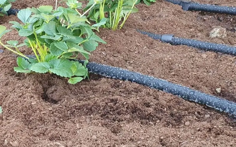 Detail mikropórov priesakovej hadice zo 100% recyklovanej gumy