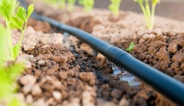 Kvapková závlaha hadica v záhrade