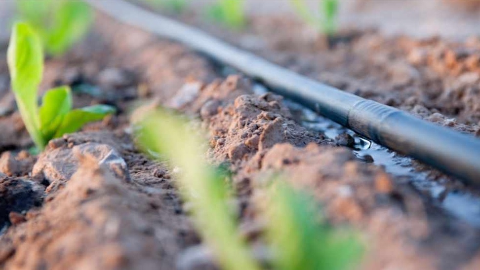 Detailná konštrukcia kvapkovej hadice