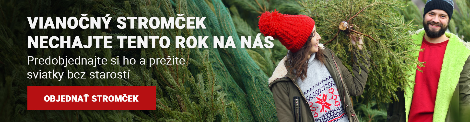 Predaj živých vianočných stromčekov