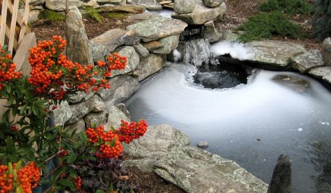 Zamrznutá hladina záhradného jazierka