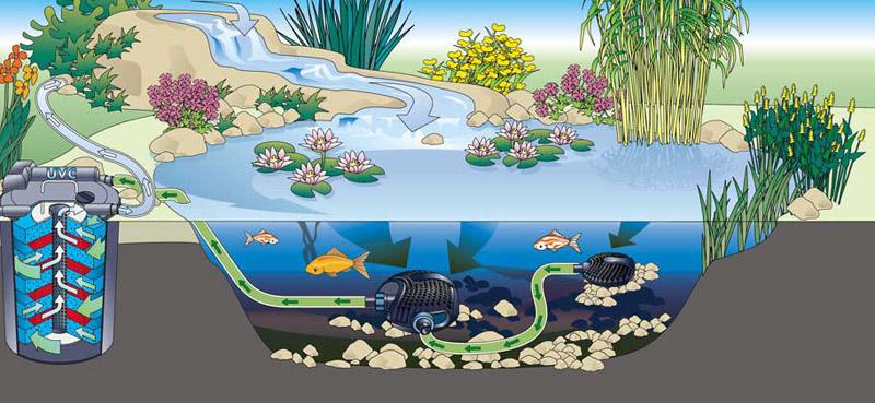 Filtrácia záhradného jazierka