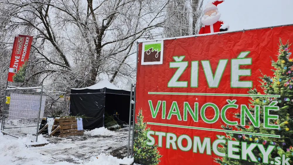 vytvorenie predobjednávky na živý vianočný stromček