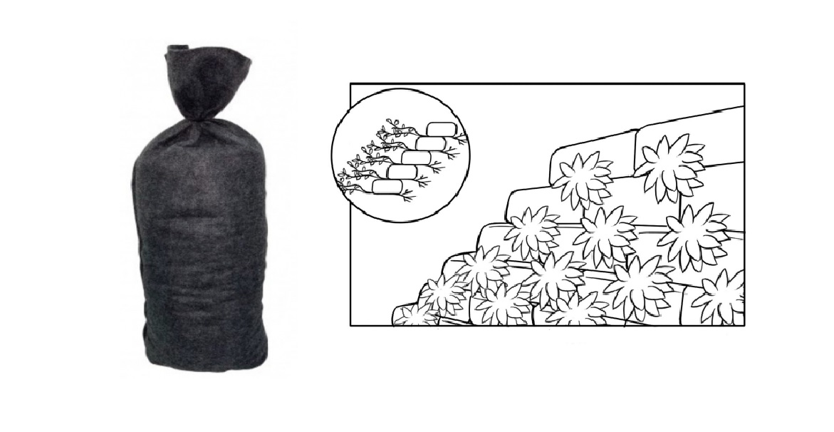 Vegetačné oporné múry