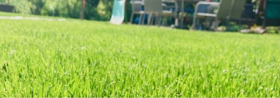 Trávnikový koberec Grasstex