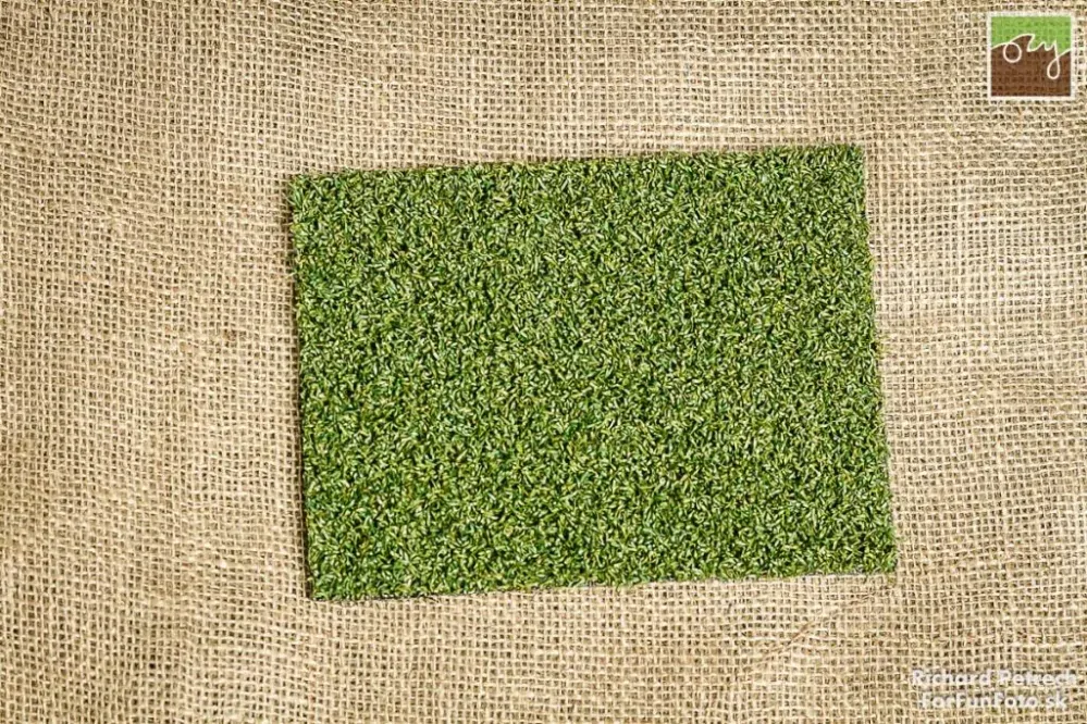 Umelý trávnik Restaurant 10 mm