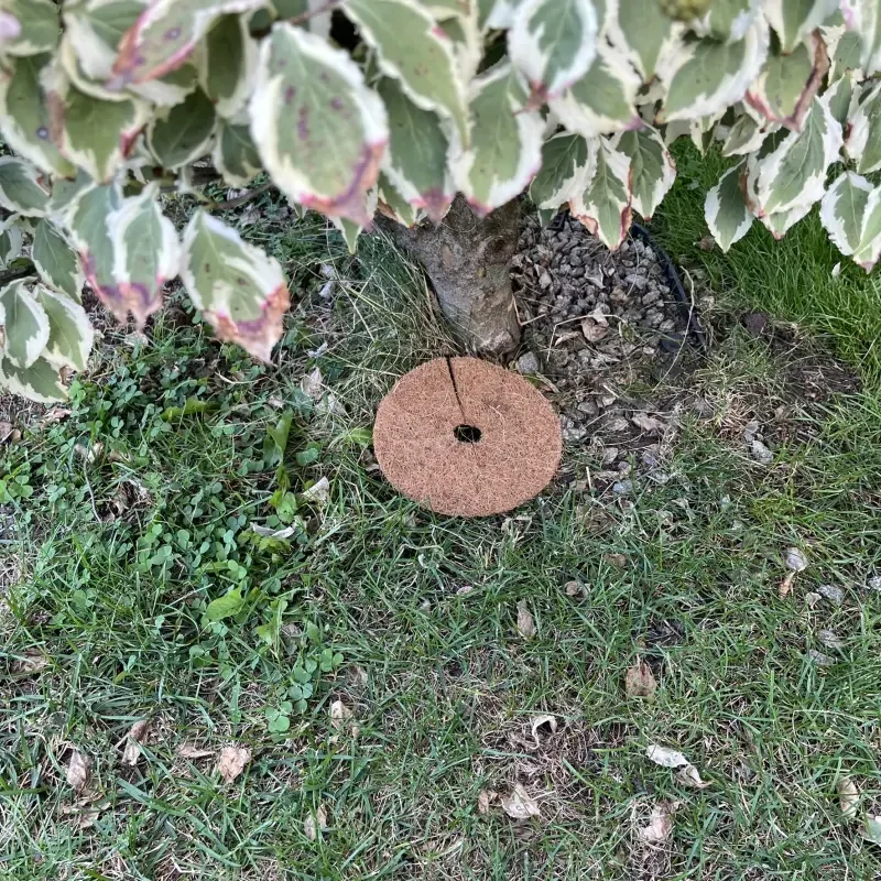 Kokosový kruh Ø16cm ochrana pre strom 800g/m2