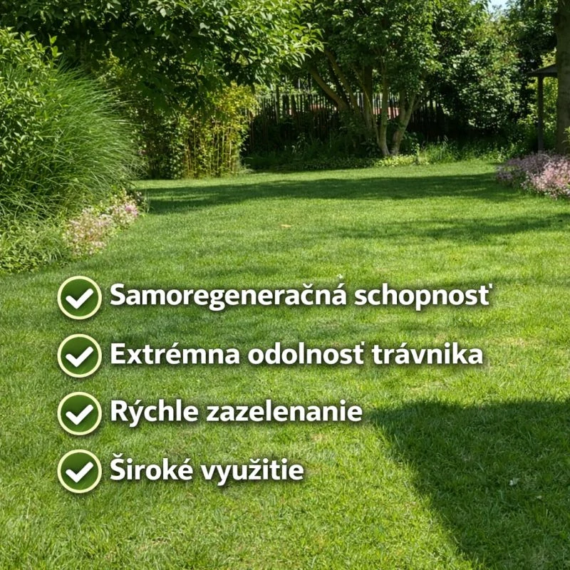 Trávna zmes BARENBRUG RPR Lawn ŠPORT - 1kg