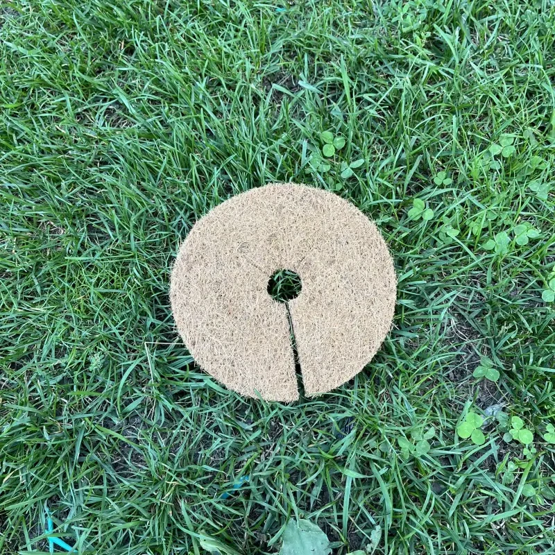 Kokosový kruh Ø25cm ochrana pre strom 800g/m2