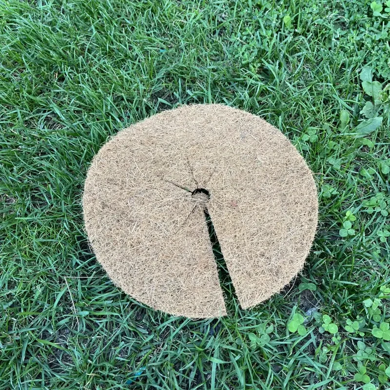 Kokosový kruh Ø37cm ochrana pre strom 800g/m2