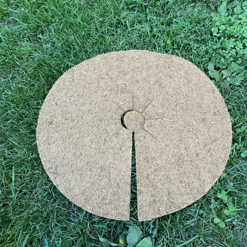 Kokosový kruh Ø60cm ochrana pre strom 800g/m2