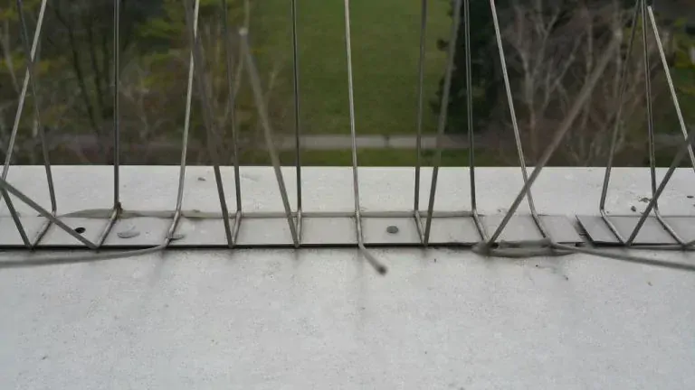 Ostne / Hroty proti vtákom, dlžka 0,5 m, 40 hrotov