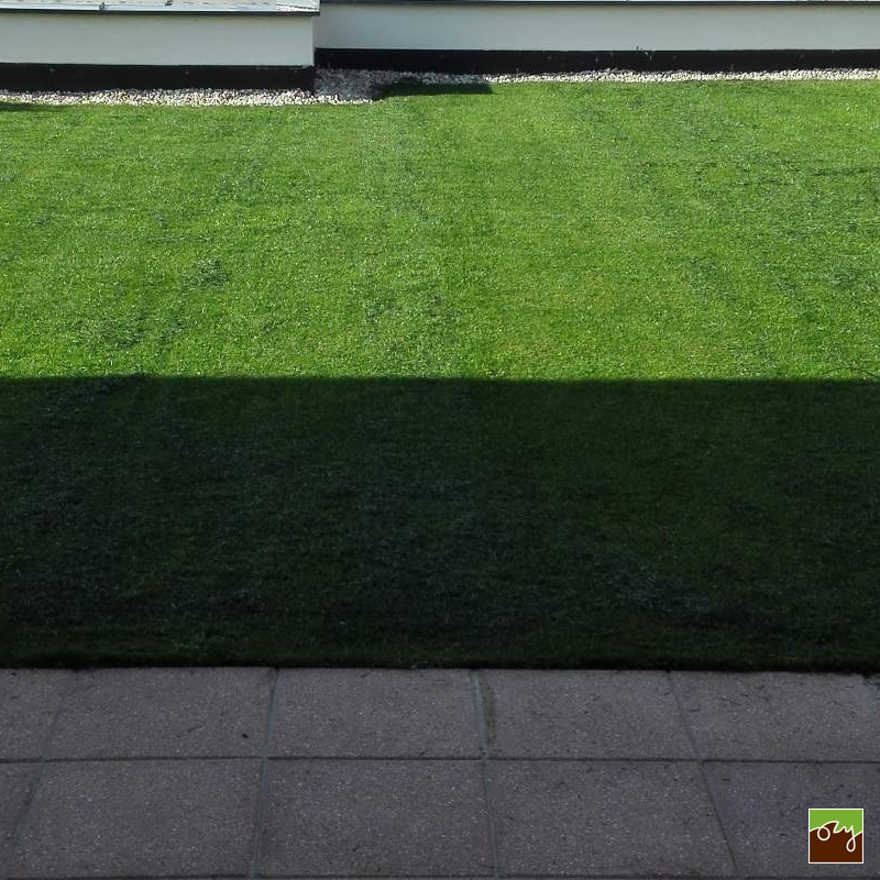 Trávnikový koberec GRASSTEX®, trávnik, ktorý založí každý sám! 2,1x50m