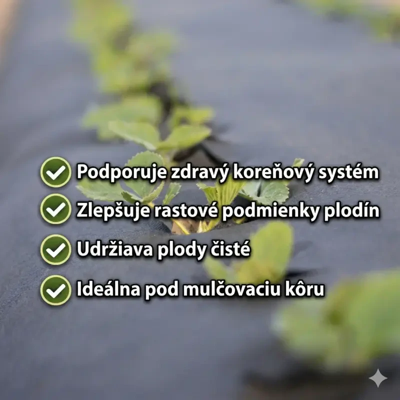 Netkaná textília čierna pod živý plot 50g/m2 | 0,8x100m | 80m2