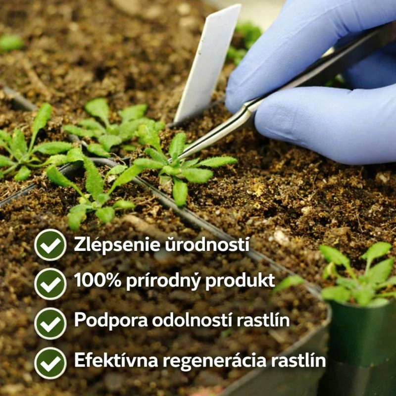 Prírodné hnojivo WormHumus 2l - výluh