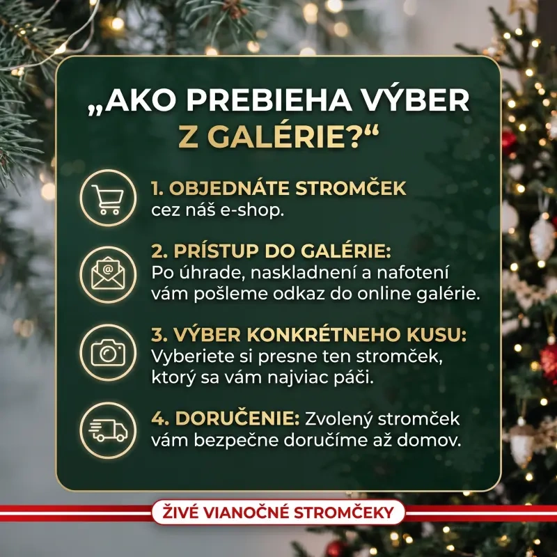 Výber stromčeka z galérie
