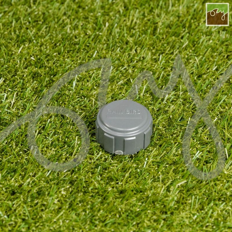 Holendrová zátka 1" VNZ | Rain Bird