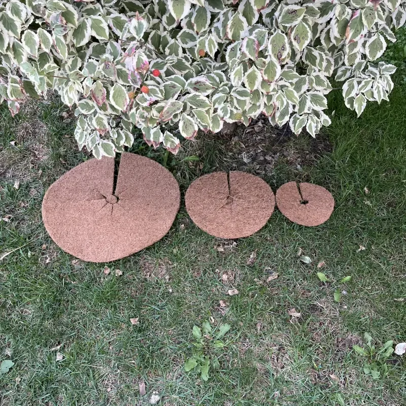 Kokosový kruh Ø37cm ochrana pre strom 800g/m2