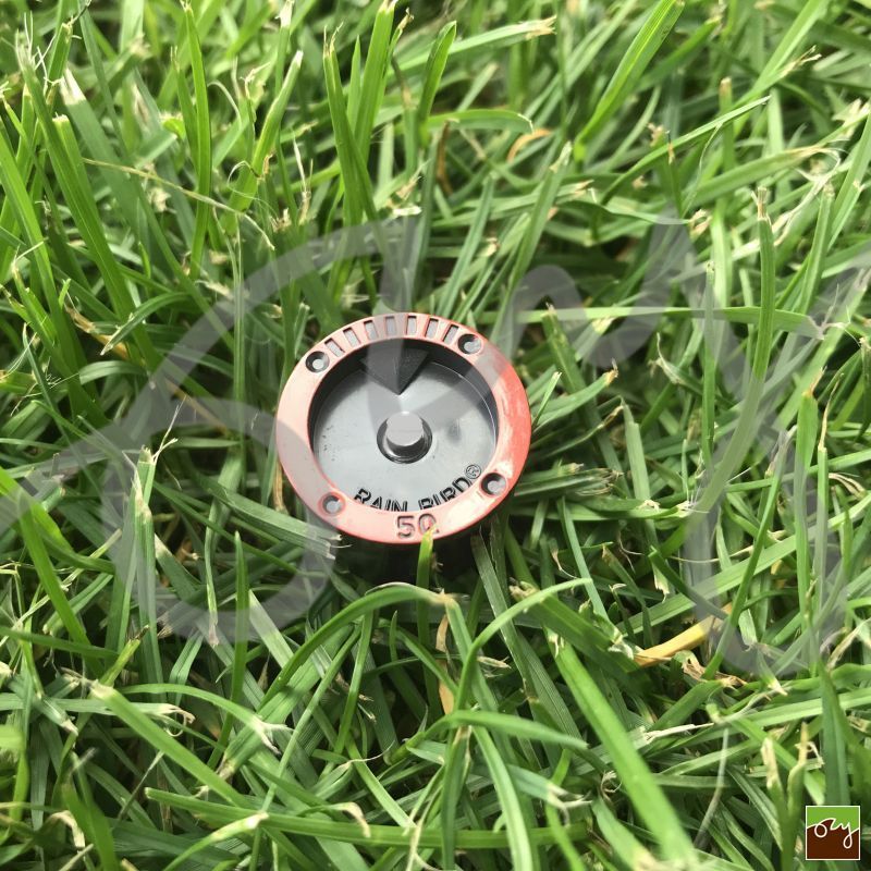 Rozprašovacia tryska MPR-5-Q | Rain Bird