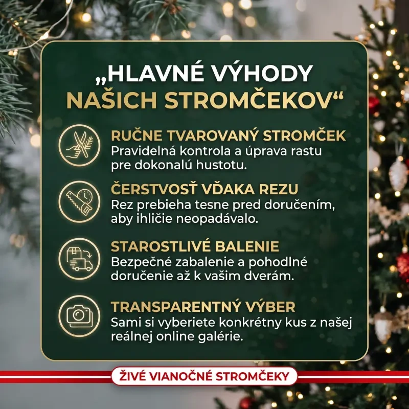 Výhody živé vianočné stromčeky