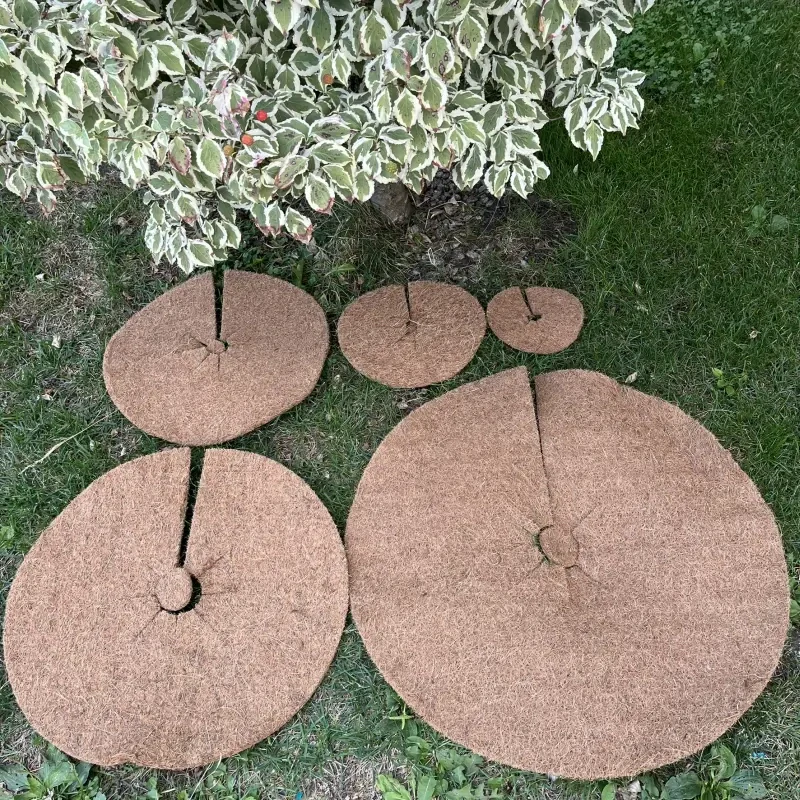 Kokosový kruh Ø37cm ochrana pre strom 800g/m2