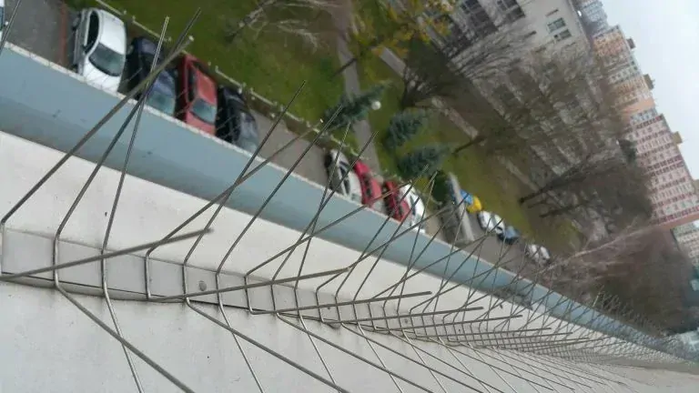 Ostne / Hroty proti vtákom, dlžka 0,5 m, 40 hrotov