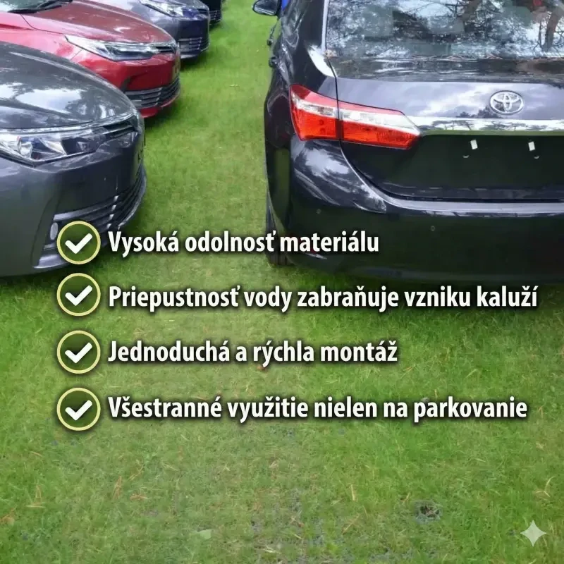 Parkovacia zatrávňovacia dlažba OZYraster čierna