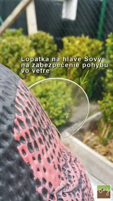Sova s pohyblivou hlavou