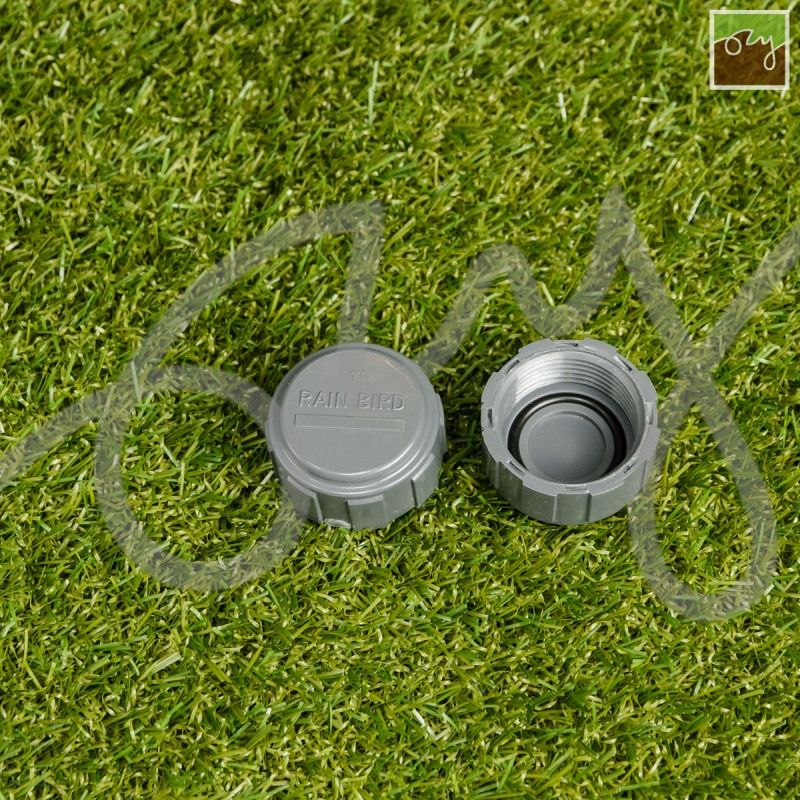 Holendrová zátka 1" VNZ | Rain Bird