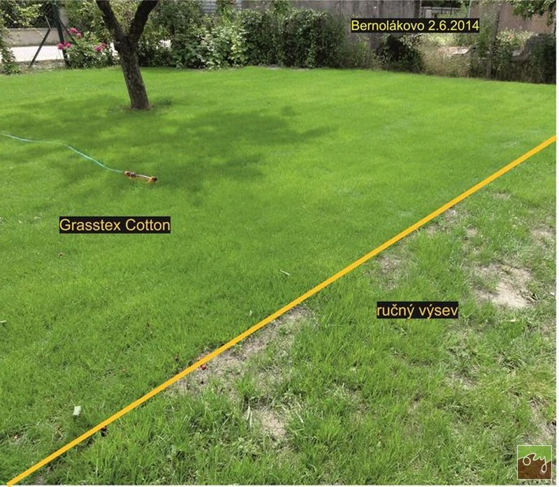 Trávnikový koberec GRASSTEX®, trávnik, ktorý založí každý sám! 2,1x25m