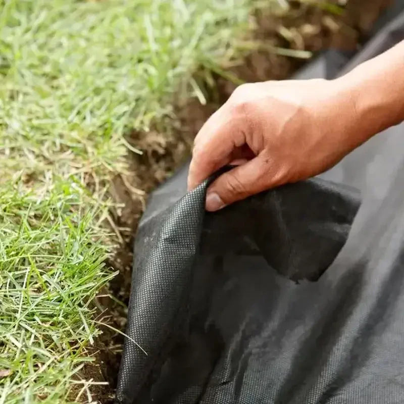 Netkaná textília čierna pod živý plot 50g/m2 | 0,8x100m | 80m2