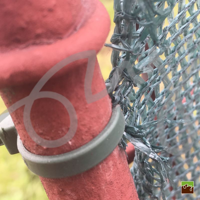 Sťahovacie pásky zelené｜50ks