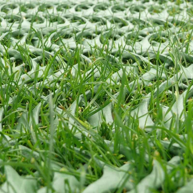 Zatrávňovacia rohož na dočasné parkovanie GrassRoll Premium+ | 2x10m | 20m2 do 5 ton