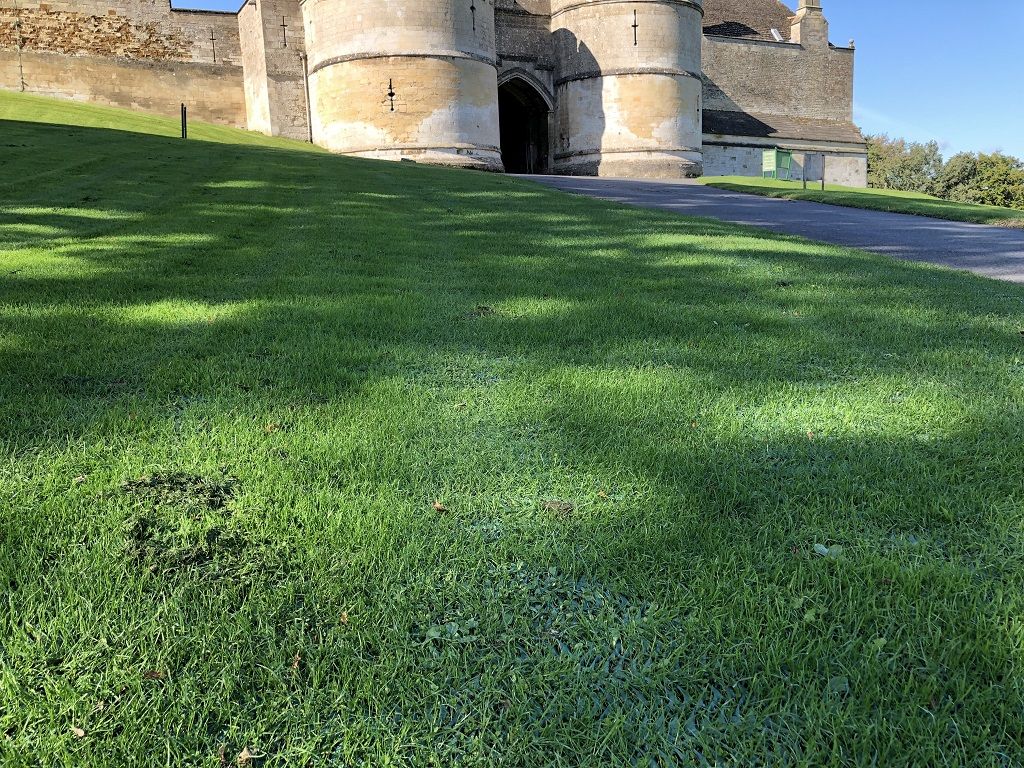Zatrávňovacia rohož na trvalé parkovanie GrassRoll Extra | 2x20m | 40m2 až do 7,5 tony