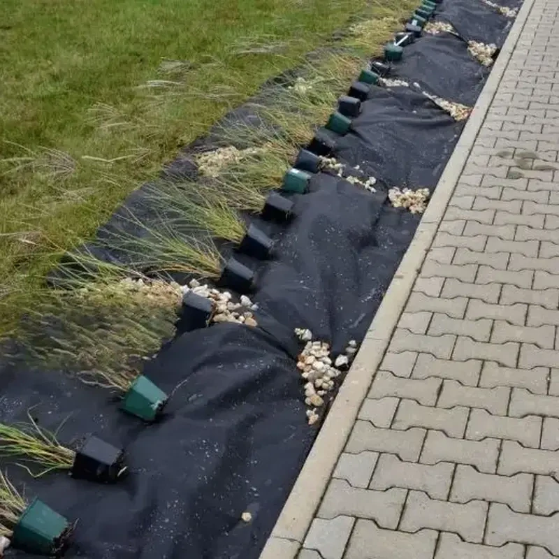 Netkaná textília čierna pod živý plot 50g/m2 | 0,8x100m | 80m2