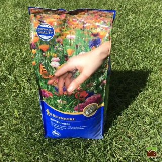 Okrasná zmes kvetinová lúka | 100m2 | 1kg