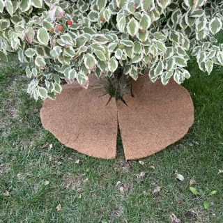 Kokosový kruh Ø60cm ochrana pre strom 800g/m2