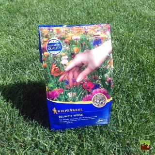 Okrasná zmes kvetinová lúka | 25m2 | 0,25kg