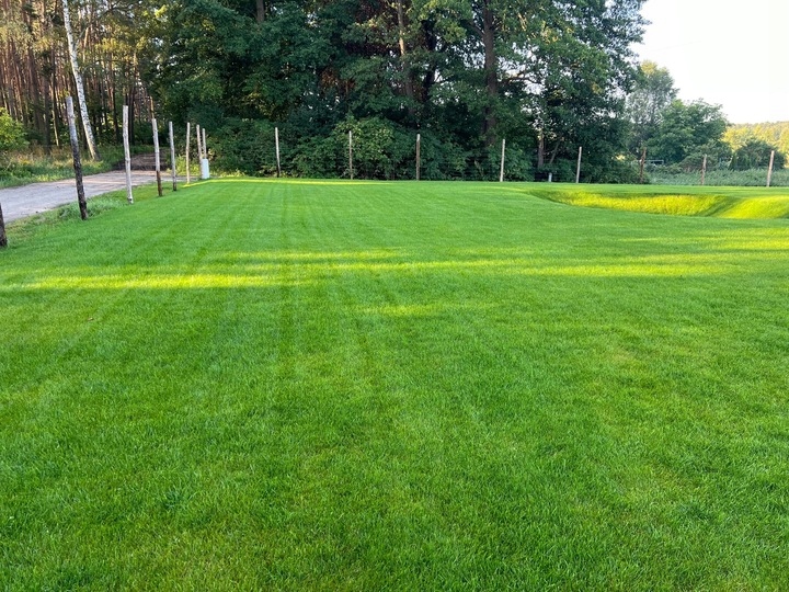 hustý a odolný trávnik Barenbrug RPR Lawn