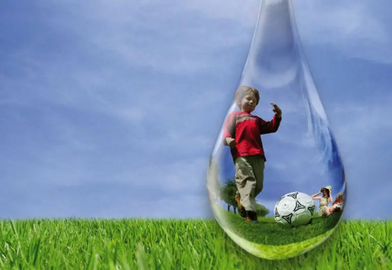 Trávnik Barenbrug Water Saver odolávajúci suchu