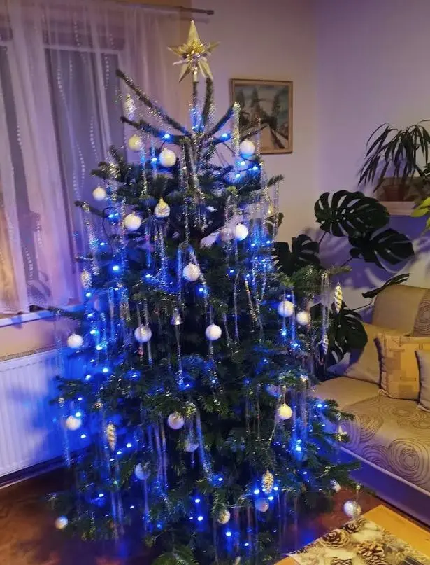 Stromček u zákazníka