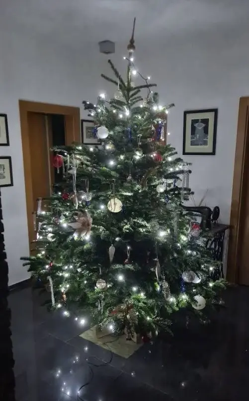 Stromček u zákazníka