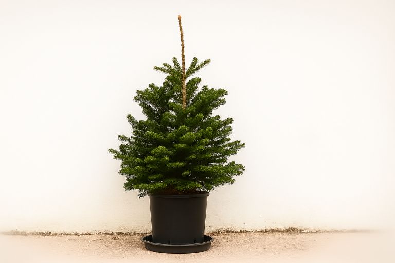Drenáž a podmiska pre odtok prebytočnej vody