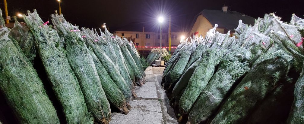 Rezervácia a odloženie stromčeka