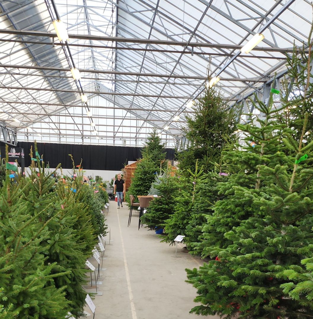 Predobjednávka a rezervácia poradia