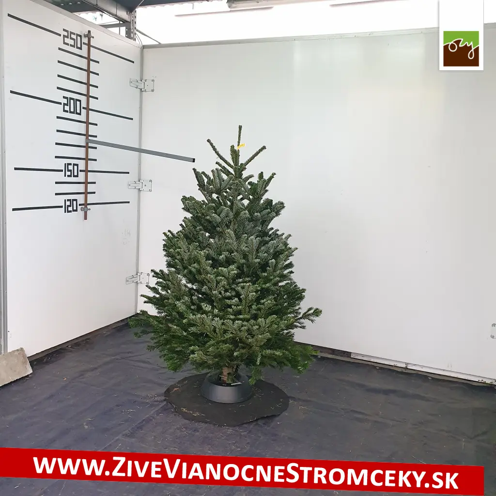 Kompletný vianočný balíček