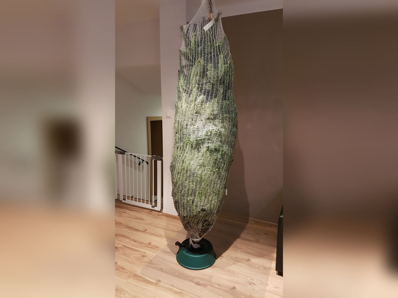 Aklimatizácia pred vstupom do domácnosti